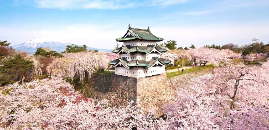 賞櫻名城弘前城