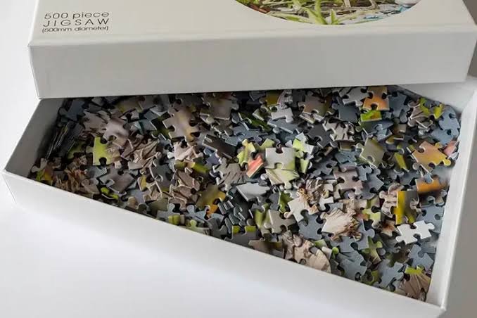 Store and Preserve Jigsaw Puzzle