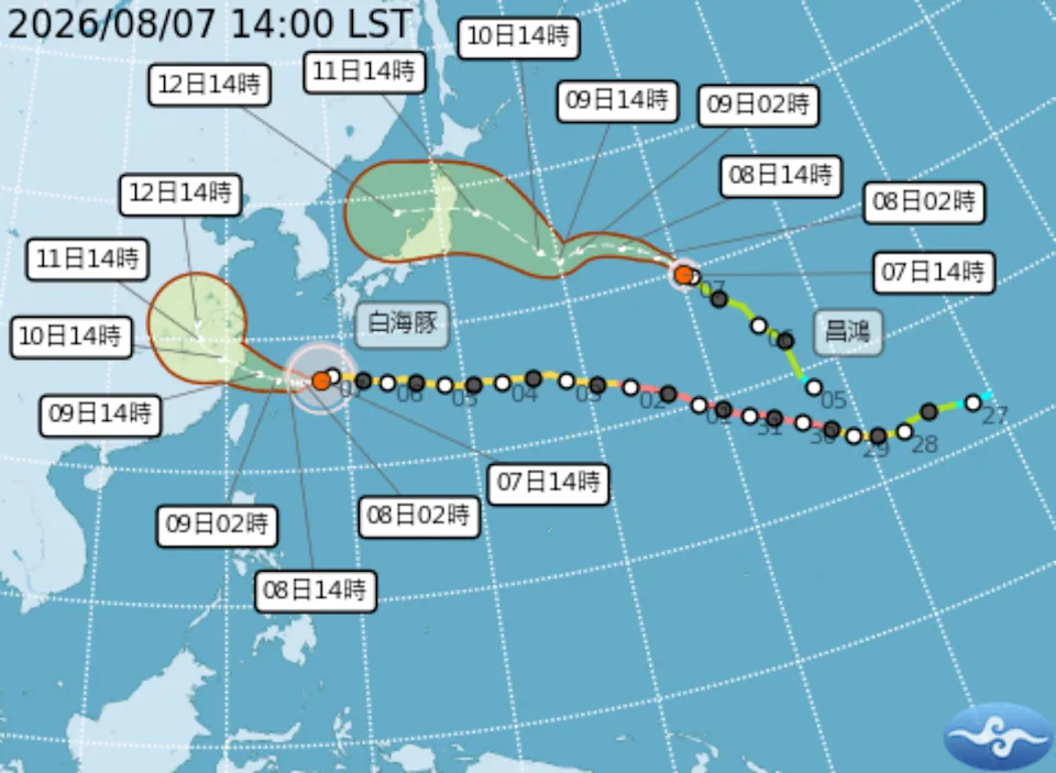 typhoon dolphin (typhoon no.13)