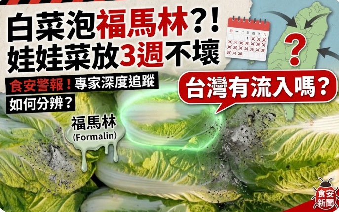 「白菜泡福馬林」/娃娃菜放3週不壞